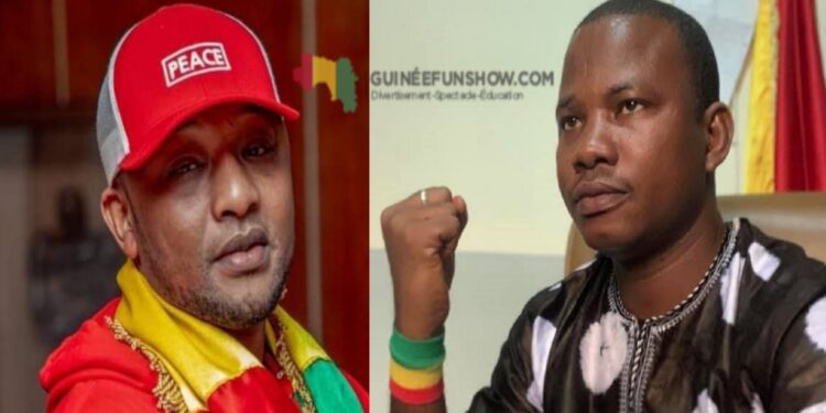 Sortie controversée de Djanii sur le CNT de D. Kourouma : l’artiste dans le viseur de ses détracteurs, descendu sur la toile !