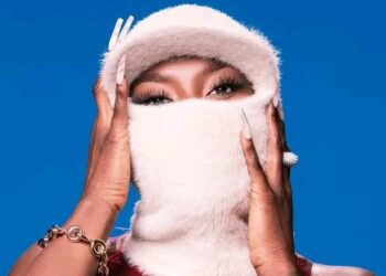 « DNK » de l’artiste Aya Nakamura : son nouvel et 4e album en détails !